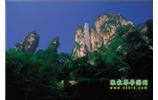 網(wǎng)絡(luò)熱門純玩游：張家界、天子山、袁家界、楊家界 自助三日游