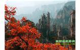 春節(jié)期間：張家界、天子山、金鞭溪自駕車精華精品游