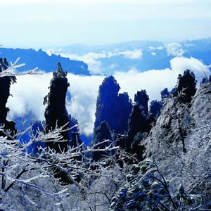 LD線：張家界、天子山、楊家界、猛洞河漂流純玩四日游