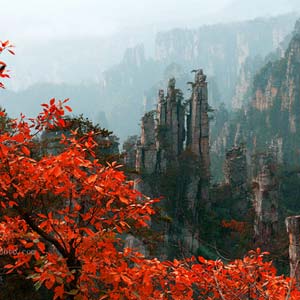 休閑自駕E線：張家界、袁家界、天子山、寶峰湖、鳳凰古城、沱江泛舟四晚五日游