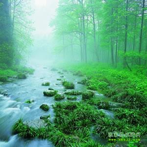 【純玩散拼尊享系列3】張家界、天子山、袁家界、黃龍洞、鳳凰三晚四日游