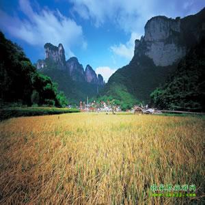 張家界往返純玩散拼：矮寨大橋、德夯苗寨、鳳凰古城、芙蓉鎮(zhèn)二日游